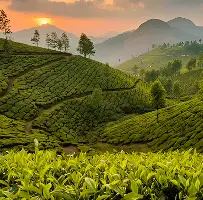 Munnar