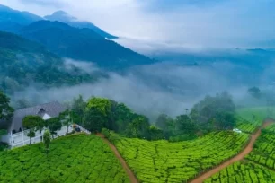 Kerala Tour Packages Upto 25% Off - Book Now